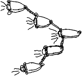 Snake boat design sketch