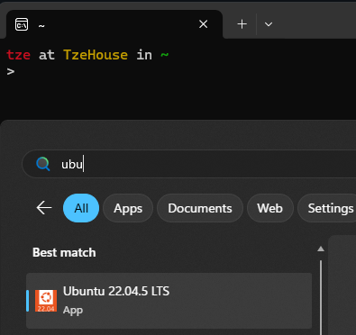 WSL Ubuntu
